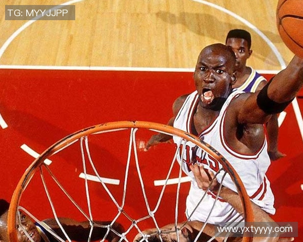 雄鹿队的胜利背后，战术打法揭秘